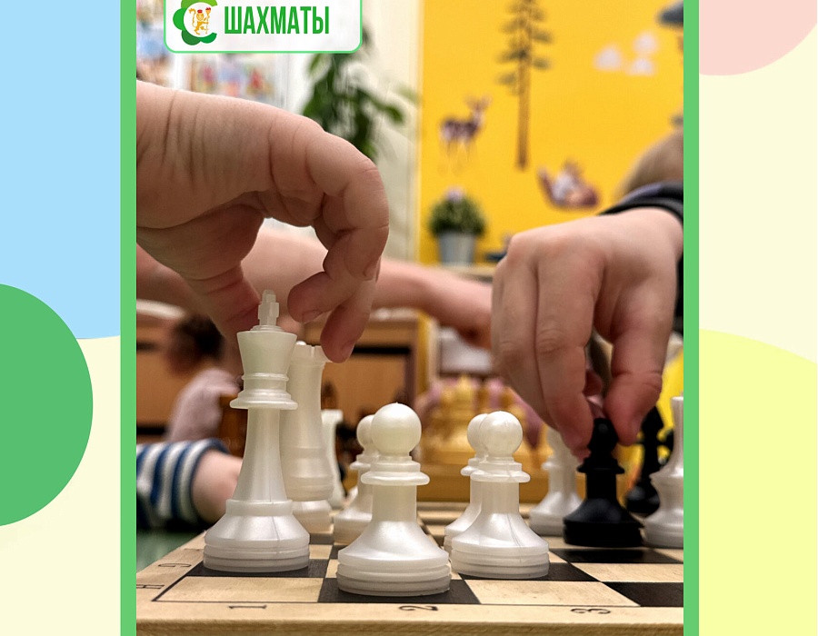 Шахматы, фото