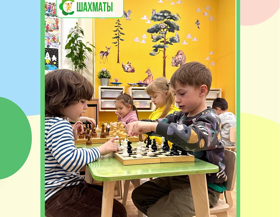Шахматы, фото